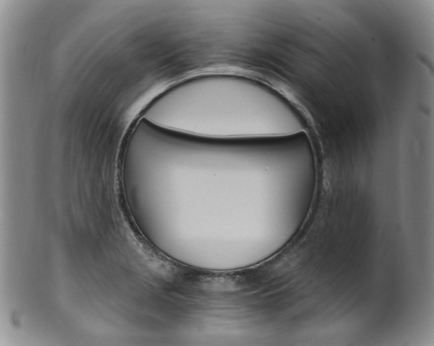 X0000101651229200807100932