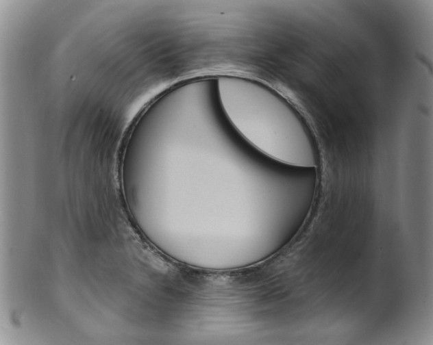 X0000101651230200807100932