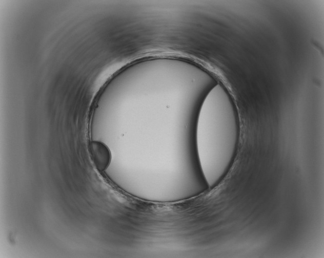 X0000101651231200807100932
