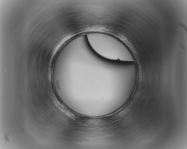 X0000101651232200807100932