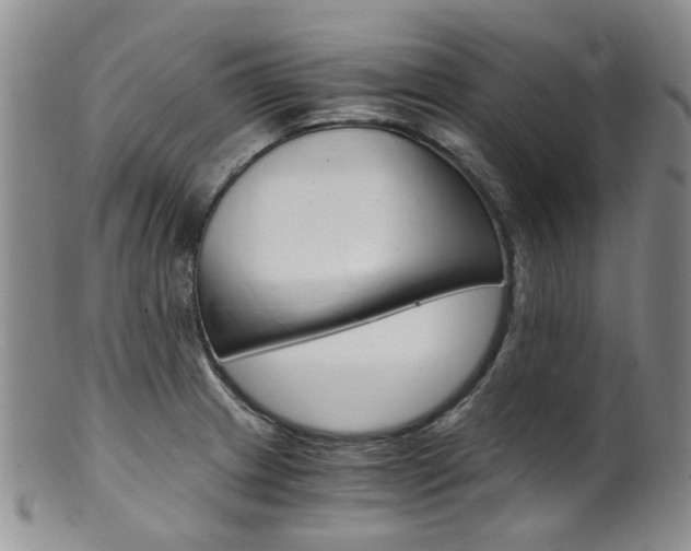 X0000101651233200807100932