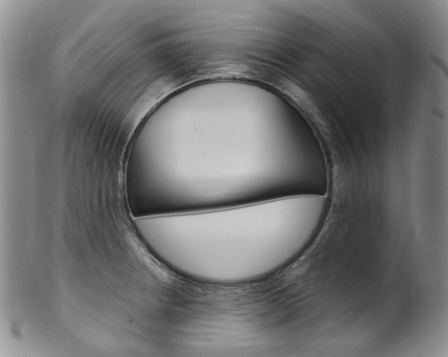 X0000101651234200807100932