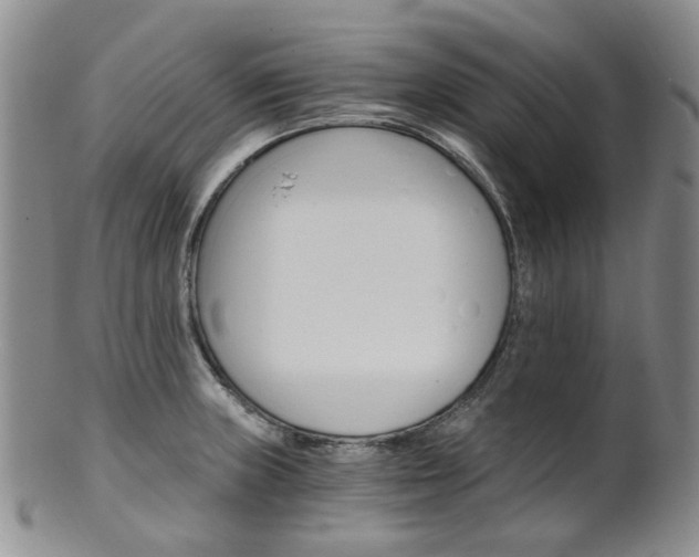 X0000101651235200807100932