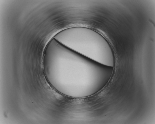 X0000101651236200807100932