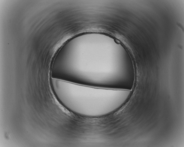 X0000101651237200807100932
