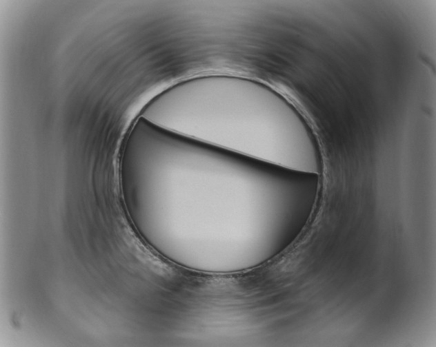 X0000101651238200807100932