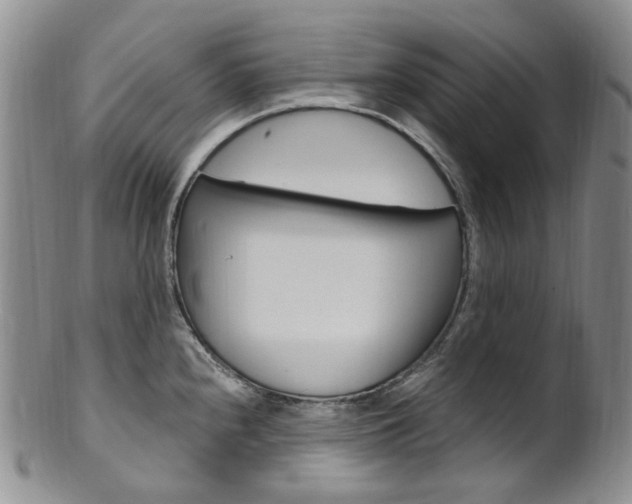 X0000101651240200807100932