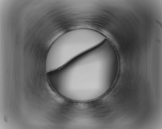 X0000101651241200807100932