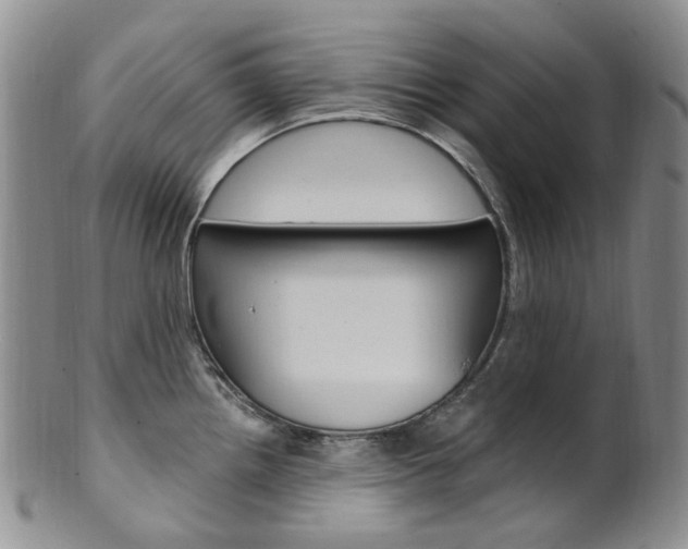 X0000101651242200807100932