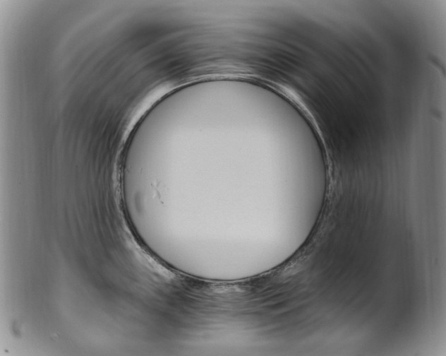 X0000101651243200807100932
