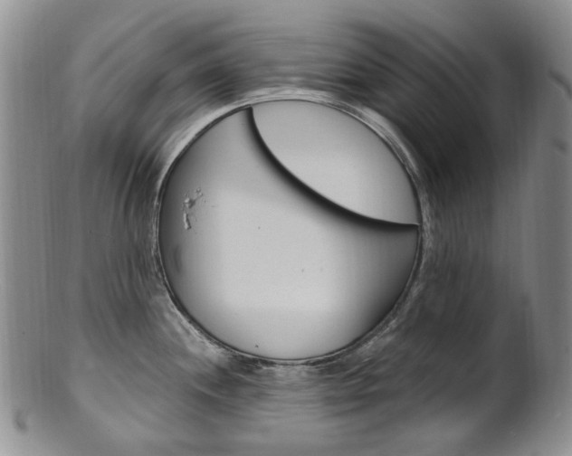 X0000101651244200807100932