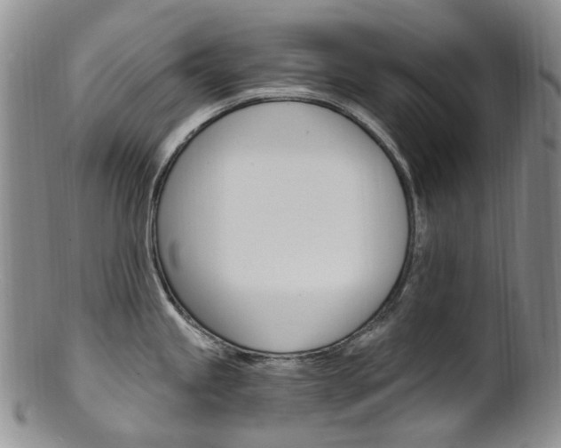 X0000101651245200807100932