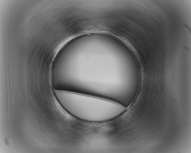 X0000101651246200807100932