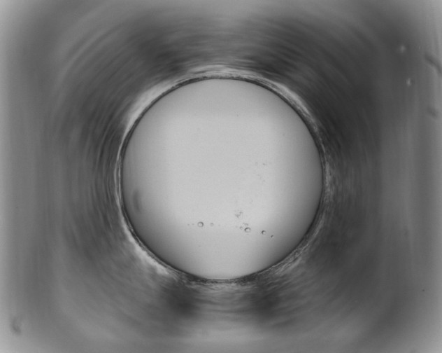 X0000101651247200807100932