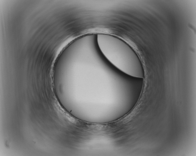 X0000101651248200807100932