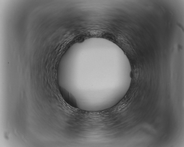 X0000101651249200807100932