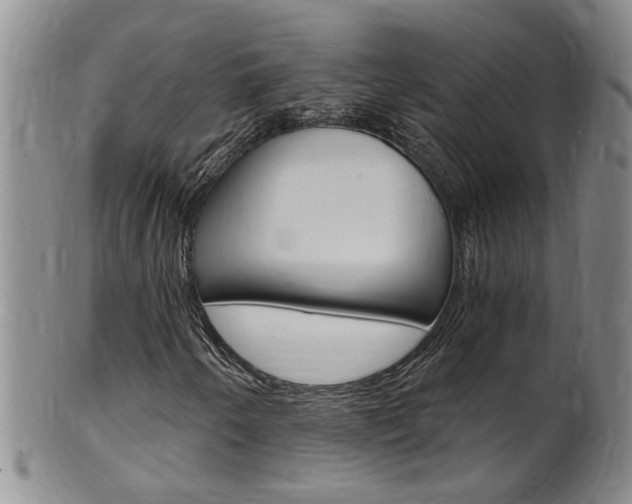 X0000101651250200807100932
