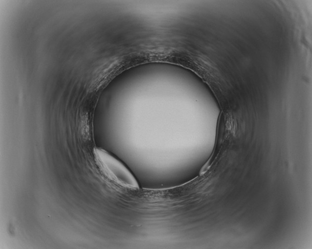 X0000101651252200807100932