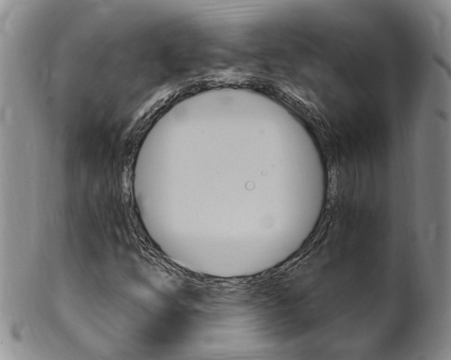 X0000101651254200807100932