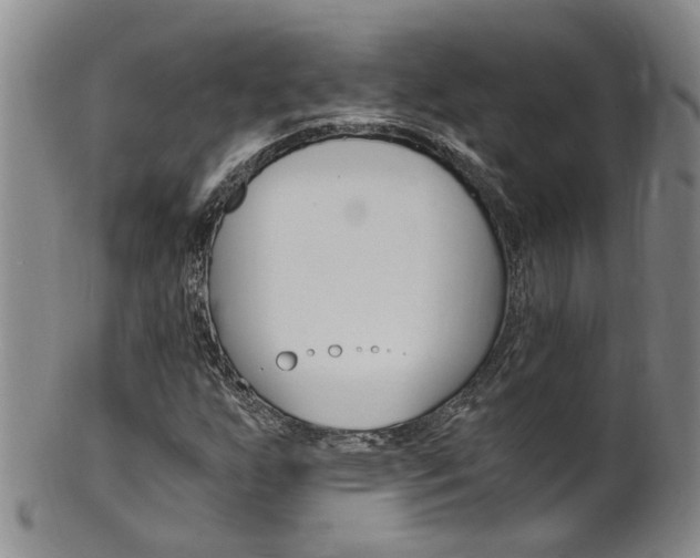 X0000101651255200807100932