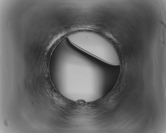 X0000101651256200807100932