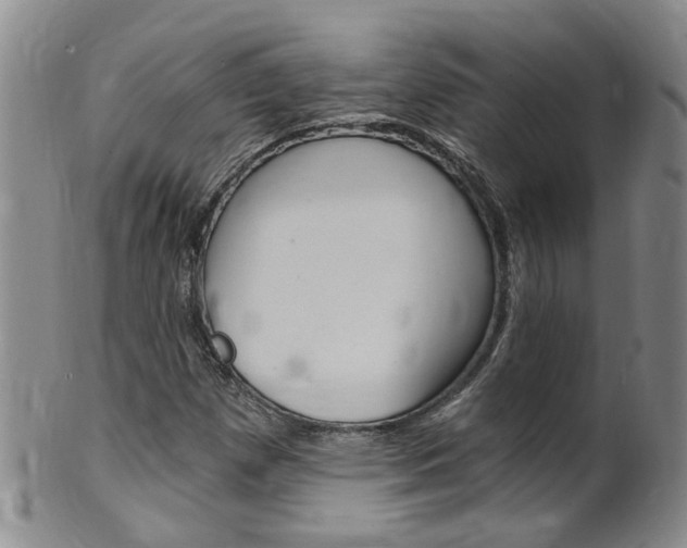 X0000101651257200807100932