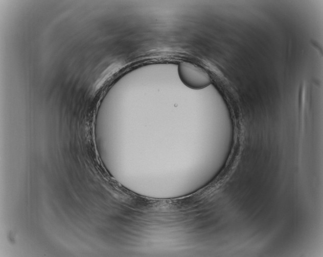 X0000101651259200807100932