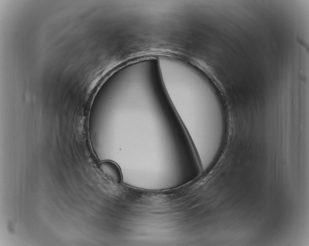 X0000101651260200807100932