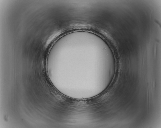 X0000101651261200807100932