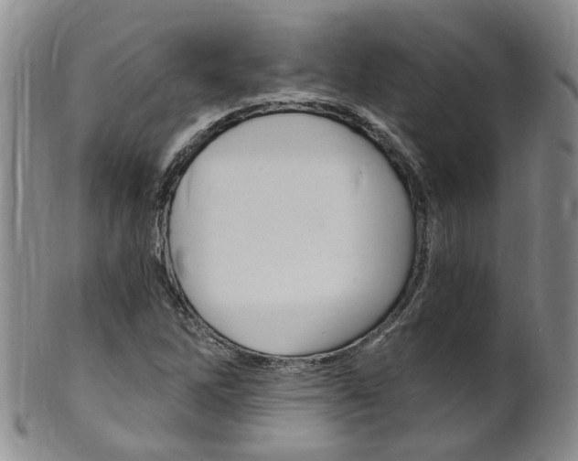 X0000101651262200807100932