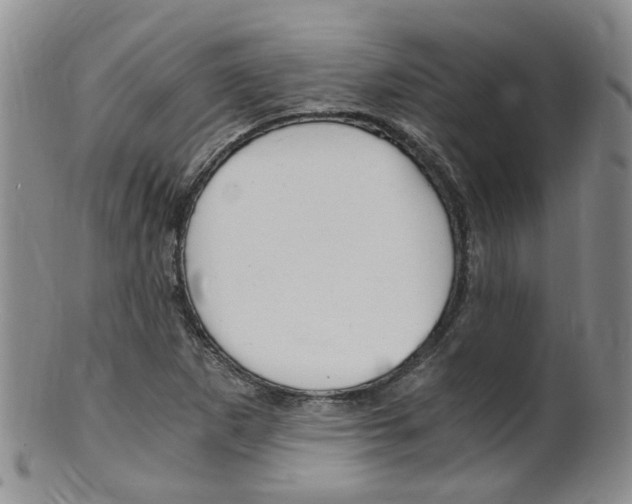 X0000101651265200807100931