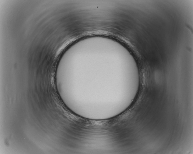 X0000101651266200807100931