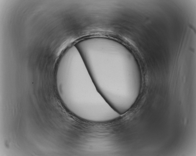 X0000101651267200807100931