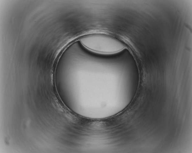X0000101651268200807100931