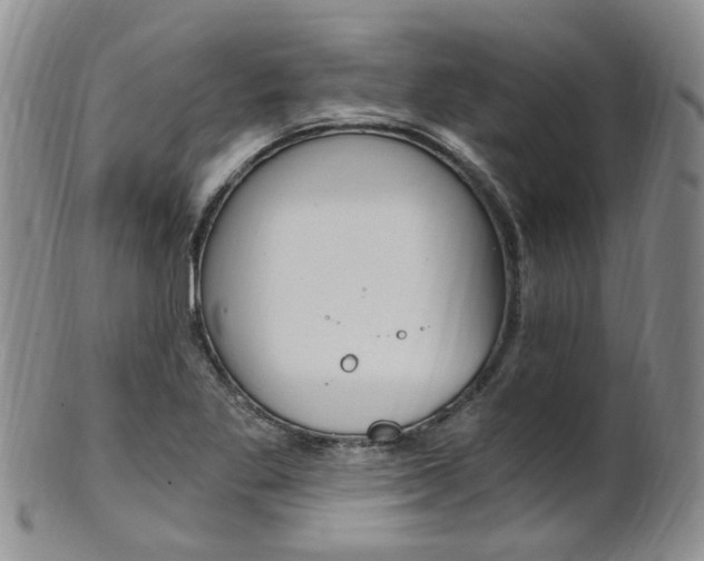 X0000101651269200807100931