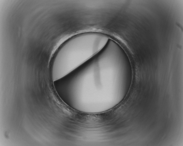 X0000101651270200807100931