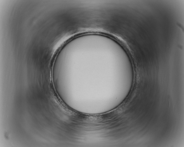X0000101651271200807100931