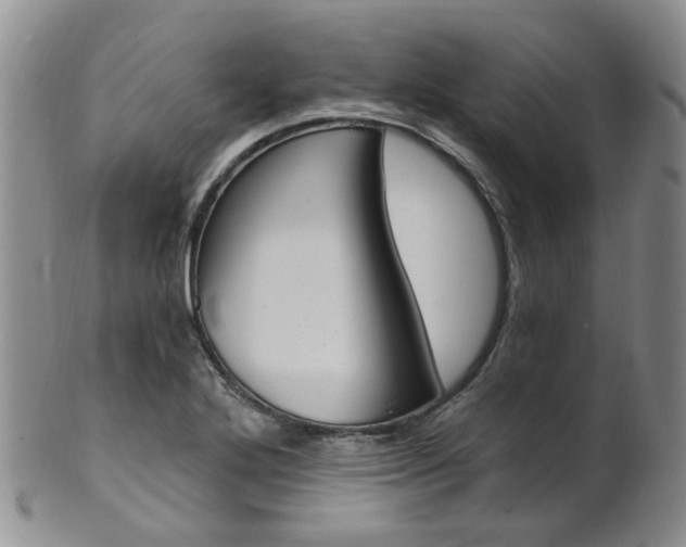 X0000101651272200807100931