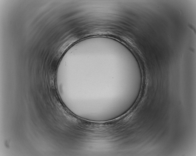 X0000101651273200807100931