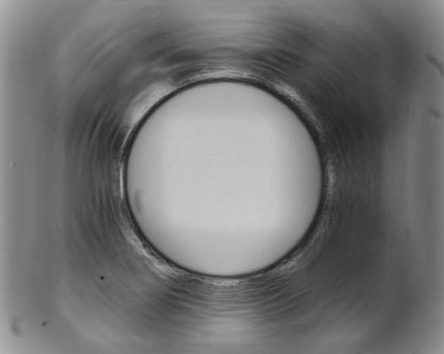 X0000101651274200807100931