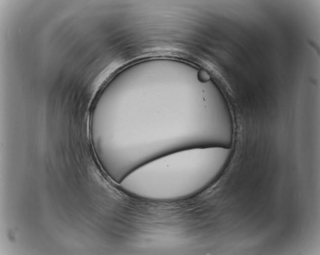 X0000101651275200807100931