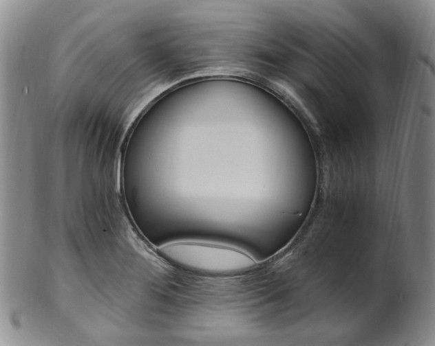 X0000101651276200807100931