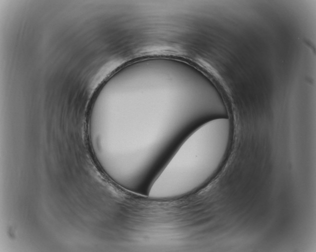 X0000101651277200807100931