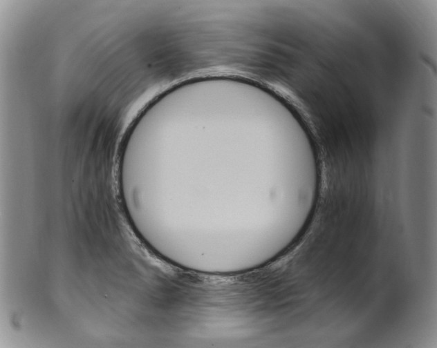 X0000101651278200807100931