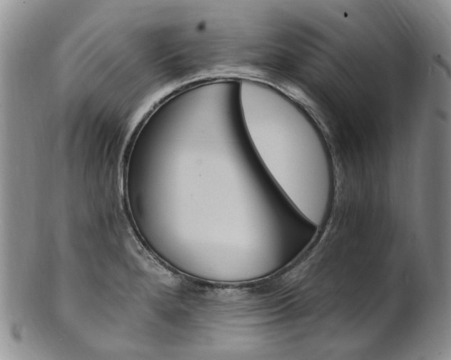 X0000101651280200807100931
