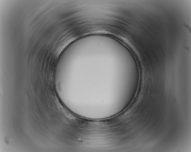 X0000101651281200807100931