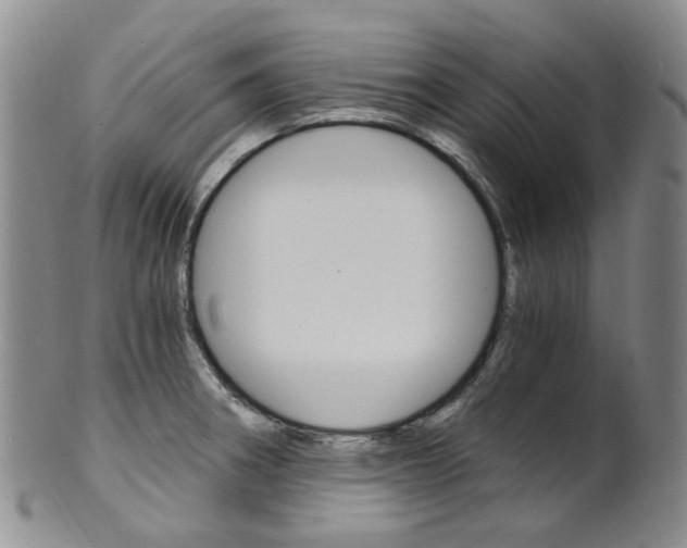 X0000101651282200807100931