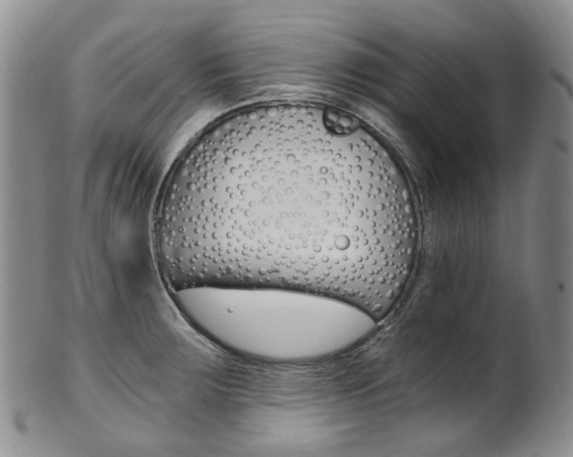 X0000101651283200807100931