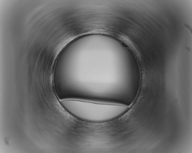 X0000101651284200807100931