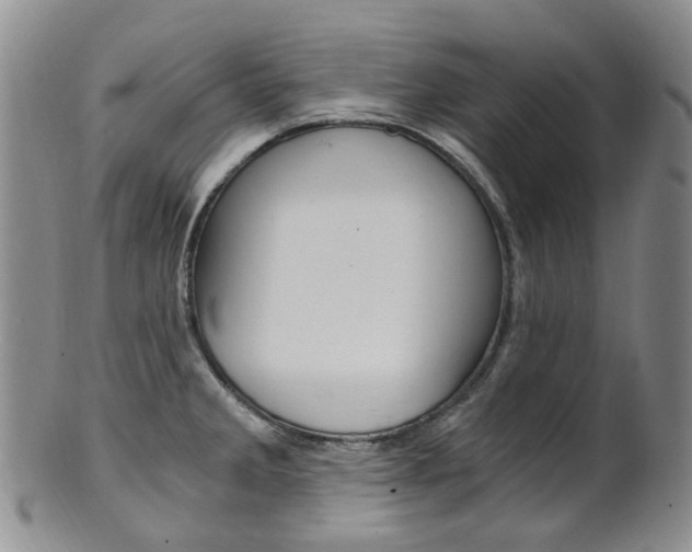 X0000101651285200807100931